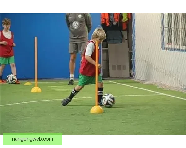 沃尔夫斯堡足球俱乐部的发展历程与未来展望分析