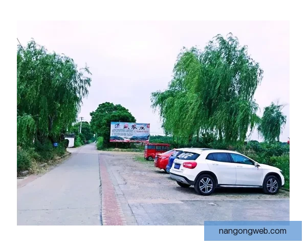 弗罗西诺内到贝加莫全程距离及沿途交通路线详解与出行参考